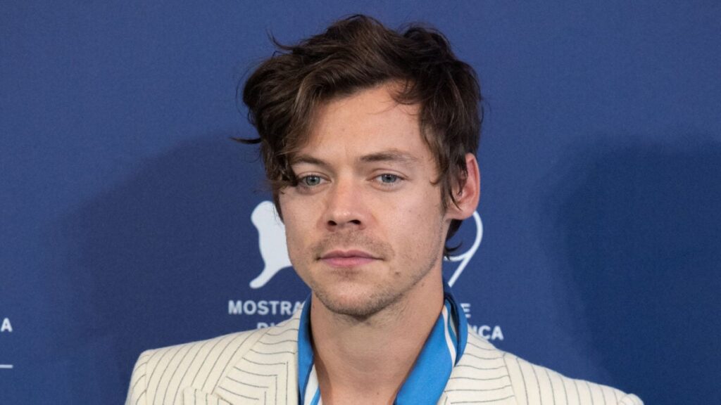 ‘Health Issue’ Halts Harry Styles’ Brazil Concert