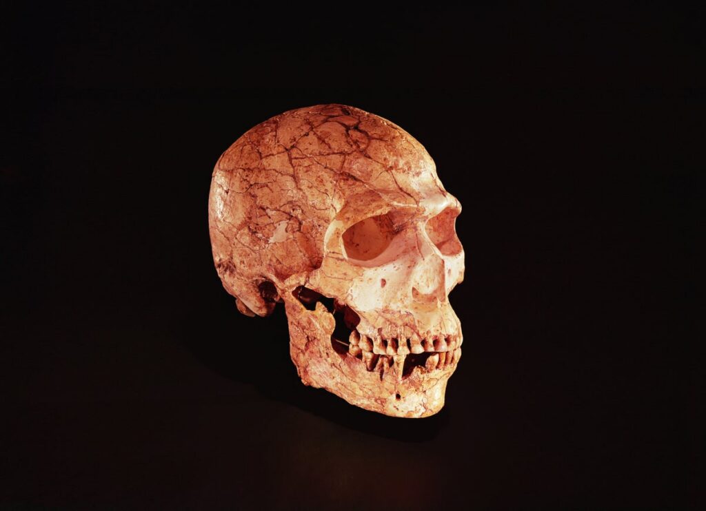 Neanderthals may have been just as smart as modern human peers